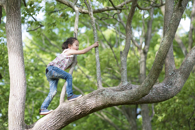 Girl climbing tree